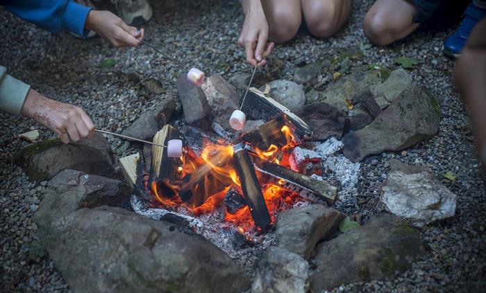 We have campfire areas outside each Tipi and Yurt as well as a communual undercover campfire area. We have locally grown wood on site available to buy